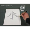 - ジデェール紙(10枚入×10組) 松井色素化学 03163138
