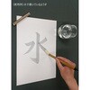 - ジデェール紙(10枚入×10組) 松井色素化学 03163138