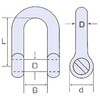 56023 ステンレス 沈みシャックル #6 (呼び 6mm) ひめじや 03169368