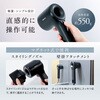 NP-HD25BK Hair Dryer NIPLUX 03198287