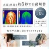 NP-HD25BK Hair Dryer NIPLUX 03198287