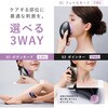 NP-MG26BK カッサ型美顔器 MEGURiS NIPLUX 03198312