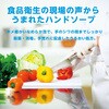 4973512263323 ハンドラボ 薬用泡ハンドソープ各種 SARAYA(サラヤ) 03205522