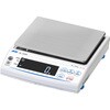 EK12000-JA-00A00 一般(ISO)校正付(検査成績書+トレサビリティ体系図) コンパクト天びん(A&D Equa) A&D(エー・アンド・デイ) 03249342