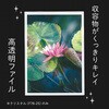 F78-27 カラークリヤーホルダー リヒトラブ 03263841