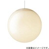 SLB19381W 天井半埋込吊下型 LED 電球色 ペンダント LED電球交換型 MODIFY モディファイ Panasonic(パナソニック) 03345576
