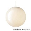 SLB19281W 天井吊下型 LED 電球色 ペンダント引掛シーリング方式  LED電球交換型 MODIFY モディファイ Panasonic(パナソニック) 03346757