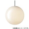SLB19281B 天井吊下型 LED 電球色 ペンダント引掛シーリング方式  LED電球交換型 MODIFY モディファイ Panasonic(パナソニック) 03345732
