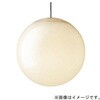 SLB19381B 天井半埋込吊下型 LED 電球色 ペンダント LED電球交換型 MODIFY モディファイ Panasonic(パナソニック) 03346240