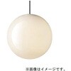 SLB19291B 配線ダクト取付型 LED 電球色 ペンダント LED電球交換型 MODIFY モディファイ Panasonic(パナソニック) 03346441