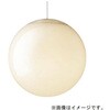SLB19391W 天井吊下型 LED 電球色 ペンダント引掛シーリング方式  LED電球交換型 MODIFY モディファイ Panasonic(パナソニック) 03346538