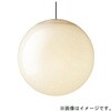 SLB19391B 天井吊下型 LED 電球色 ペンダント引掛シーリング方式  LED電球交換型 MODIFY モディファイ Panasonic(パナソニック) 03346626