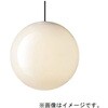 SLB19251B 天井半埋込吊下型 LED 電球色 ペンダント LED電球交換型 MODIFY モディファイ Panasonic(パナソニック) 03346739