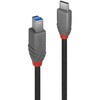 36667 LINDY ANTHRA LINE USB3.2 Gen1 Type-C to Type-Bケーブル LINDY 03366068