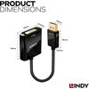 41734 LINDY DisplayPort to DVIアクティブ変換アダプタ LINDY 03366181