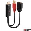 38289 LINDY HDMI 2.0 to DispalyPort 1.2 4K@60Hz変換アダプタ、USBバスパワー LINDY 03366199