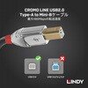 36644 LINDY CROMO LINE USB2.0 Type-A to Type-Bケーブル LINDY 03366217
