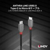 36891 LINDY ANTHRA LINE USB2.0 Type-C to Micro-Bケーブル LINDY 03366409
