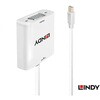 38310 LINDY Mini DisplayPort to VGA オス/メス アクティブアダプタ LINDY 03366427