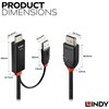41499 LINDY HDMI 2.0 to DisplayPort 1.2 アクティブ変換ケーブル、USB 電源付き LINDY 03366436