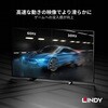 40926 LINDY DisplayPort to HDMI 2.0 HDR アクティブ変換ケーブル LINDY 03366488