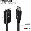 41062 LINDY DisplayPort 1.2 to HDMI 2.0 HDR アクティブ変換アダプタケーブル LINDY 03366637