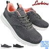 MIS786 wlhV[Y(cȂ)MIS786 LARKINS 03428979