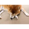 PRUG-TO ペット防滑消臭防水ラグマット 明和グラビア 03459990