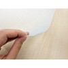 PRO-TO5 ペット防滑消臭防水廊下敷き 明和グラビア 03459956