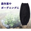 SJG-08 防虫腕カバー(タック付き) ジェイワークスプランニング 03462991