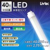 LW-LT40HF-N ���ǌ`LED�����v 40�`���� �C���o�[�^�� Livtec(���u�e�b�N) 03470279