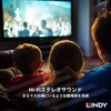 35333 LINDY CROMO LINE ダブルRCA to 3.5mmオーディオ変換ケーブル LINDY 03574397