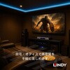 35346 LINDY CROMO LINE デュアル フォノ オーディオケーブル LINDY 03574677