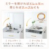 mono102-wh ミラー付きチェスト TAIGASHOJI(大河商事) 03575167