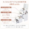 mono102-wh ミラー付きチェスト TAIGASHOJI(大河商事) 03575167