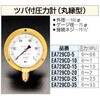 03577472,03577481,03577506,03577515,03577524