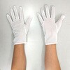 242-L ナイロンミルコット マチ付 丸和ケミカル 03579148