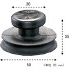 03690504