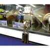 EA951BD-35 ストロング掛金 エスコ 03691213