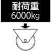 EA986KX-250 250mm 固定金具付 ナイロンキャスター エスコ 03717786