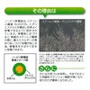NB-0210 m[rdR pltH 03735036