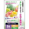 1117033164 ラミネートフィルム75μ フジテックス 03739069