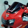 03748806