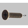 丁番取付ねじ 皿小ねじ M4x12 24本入り 新日軽(LIXIL)