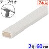 DZ-AMT206X2-ST テープ付ABS配線モール 60cm 2本入 オーム電機 03765917