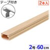 DZ-AMT206X2-WL テープ付ABS配線モール 60cm 2本入 オーム電機 03765926