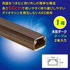 DZ-AMT106X2-WD テープ付ABS配線モール 60cm 2本入 オーム電機 03765951