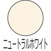 03896386