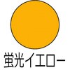 03896605