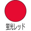 03896648